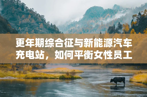 更年期综合征与新能源汽车充电站，如何平衡女性员工的工作与健康？