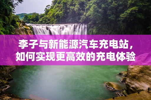 李子与新能源汽车充电站，如何实现更高效的充电体验？