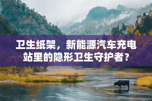 卫生纸架，新能源汽车充电站里的隐形卫生守护者？
