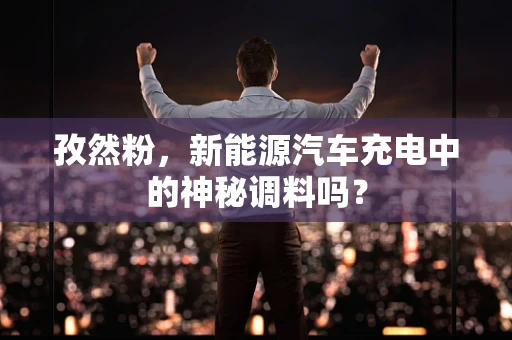 孜然粉，新能源汽车充电中的神秘调料吗？
