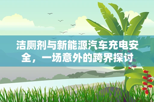 洁厕剂与新能源汽车充电安全，一场意外的跨界探讨