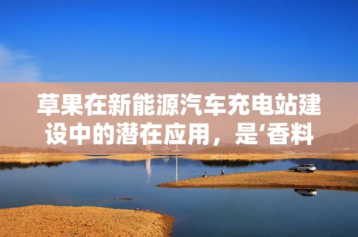 草果在新能源汽车充电站建设中的潜在应用，是‘香料’还是‘陷阱’？