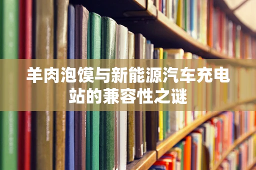 羊肉泡馍与新能源汽车充电站的兼容性之谜