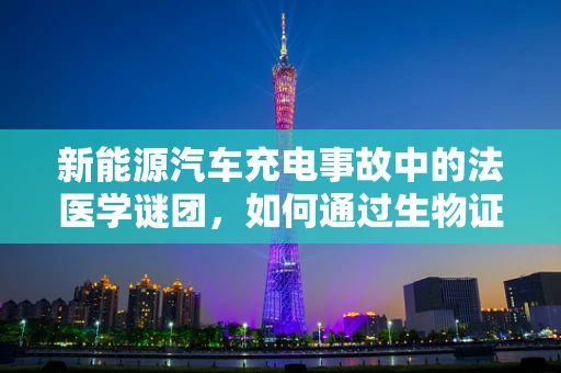 新能源汽车充电事故中的法医学谜团，如何通过生物证据锁定真相？