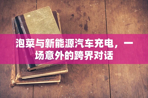 泡菜与新能源汽车充电，一场意外的跨界对话