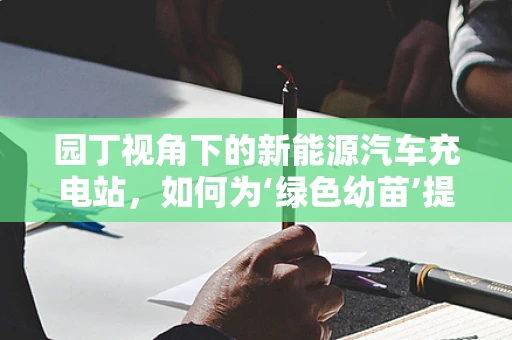 园丁视角下的新能源汽车充电站，如何为‘绿色幼苗’提供最适宜的‘养分’？