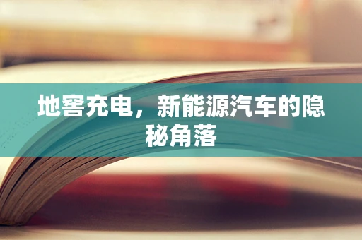 地窖充电，新能源汽车的隐秘角落