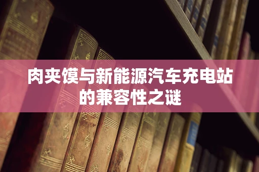 肉夹馍与新能源汽车充电站的兼容性之谜