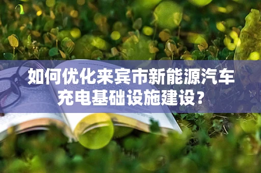 如何优化来宾市新能源汽车充电基础设施建设？