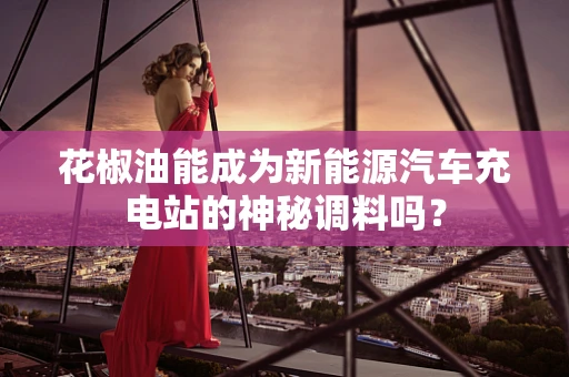 花椒油能成为新能源汽车充电站的神秘调料吗？