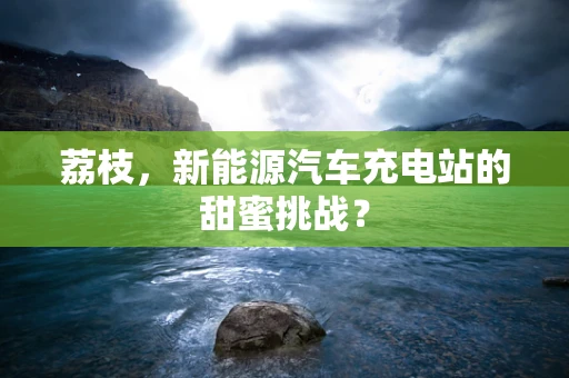荔枝，新能源汽车充电站的甜蜜挑战？