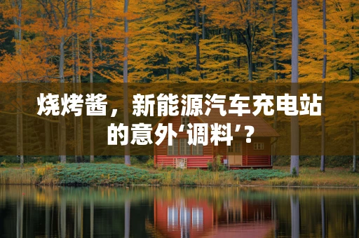 烧烤酱，新能源汽车充电站的意外‘调料’？