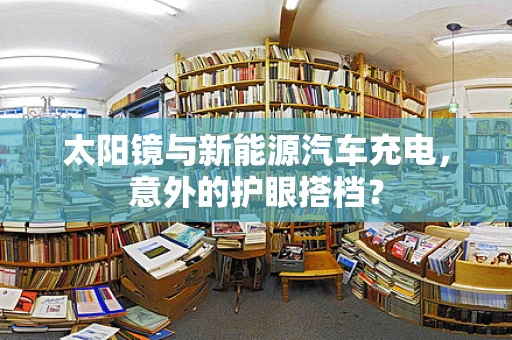 太阳镜与新能源汽车充电，意外的护眼搭档？