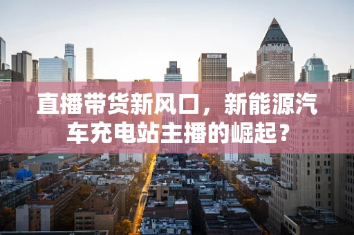 直播带货新风口，新能源汽车充电站主播的崛起？