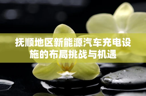 抚顺地区新能源汽车充电设施的布局挑战与机遇