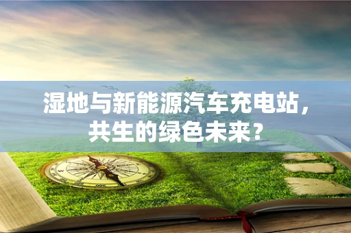 湿地与新能源汽车充电站，共生的绿色未来？