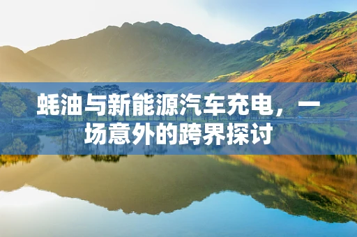 蚝油与新能源汽车充电，一场意外的跨界探讨