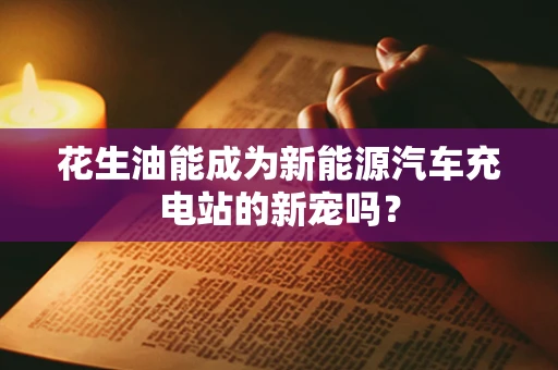 花生油能成为新能源汽车充电站的新宠吗？