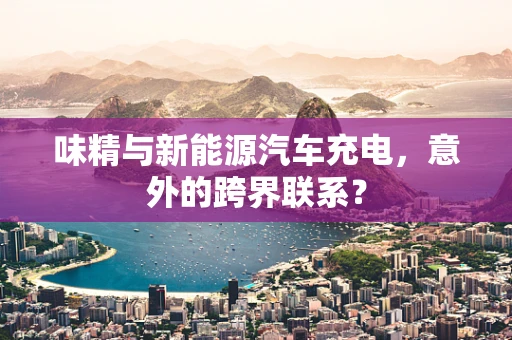 味精与新能源汽车充电，意外的跨界联系？