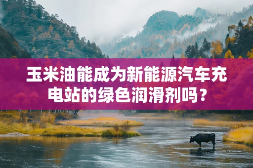 玉米油能成为新能源汽车充电站的绿色润滑剂吗？