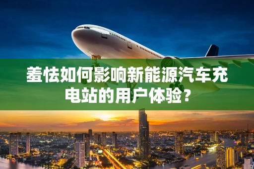羞怯如何影响新能源汽车充电站的用户体验？