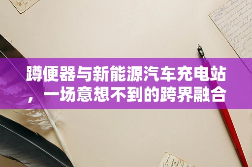 蹲便器与新能源汽车充电站，一场意想不到的跨界融合？