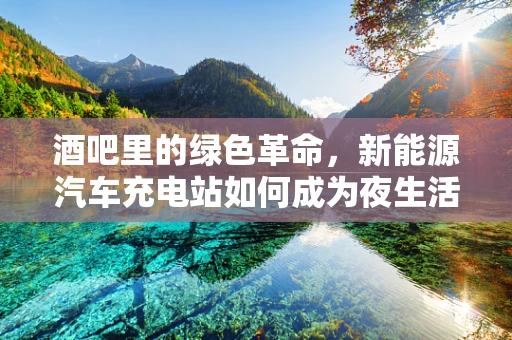 酒吧里的绿色革命，新能源汽车充电站如何成为夜生活新宠？