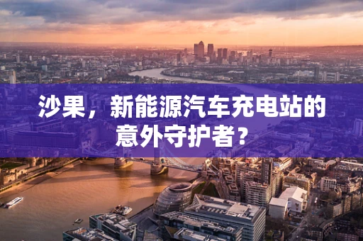 沙果，新能源汽车充电站的意外守护者？