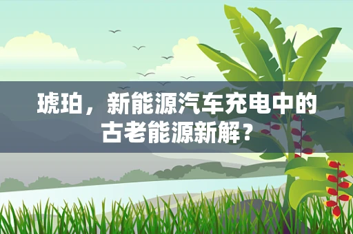 琥珀，新能源汽车充电中的古老能源新解？