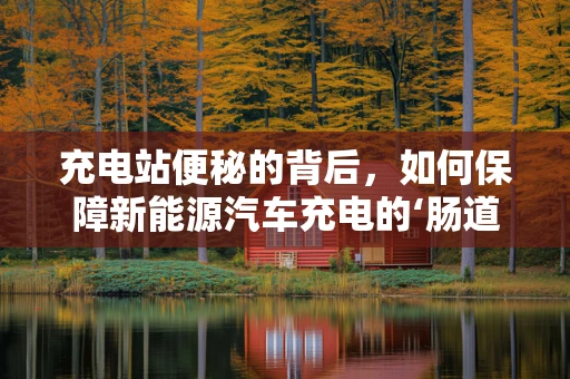 充电站便秘的背后，如何保障新能源汽车充电的‘肠道健康’？