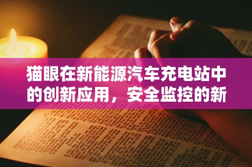 猫眼在新能源汽车充电站中的创新应用，安全监控的新视角？