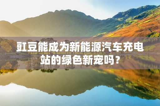 豇豆能成为新能源汽车充电站的绿色新宠吗？