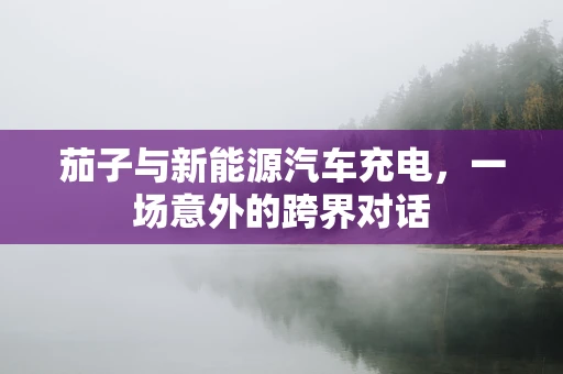 茄子与新能源汽车充电，一场意外的跨界对话