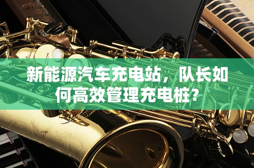 新能源汽车充电站，队长如何高效管理充电桩？