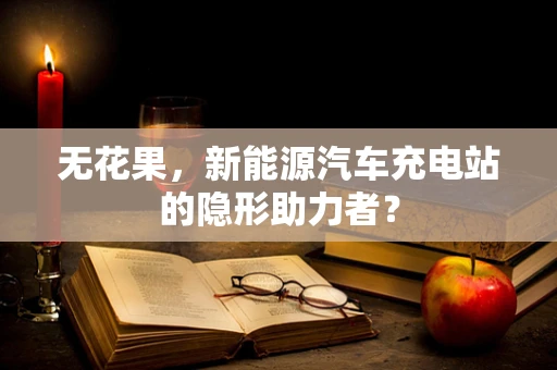 无花果，新能源汽车充电站的隐形助力者？