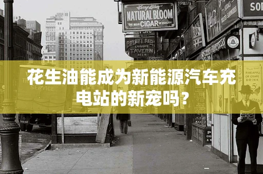 花生油能成为新能源汽车充电站的新宠吗？