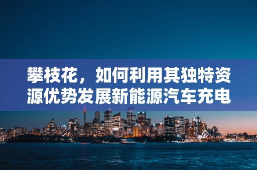 攀枝花，如何利用其独特资源优势发展新能源汽车充电基础设施？