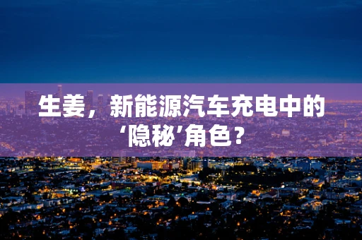 生姜，新能源汽车充电中的‘隐秘’角色？