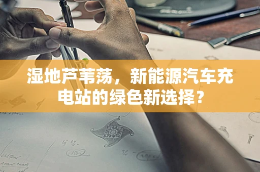湿地芦苇荡，新能源汽车充电站的绿色新选择？
