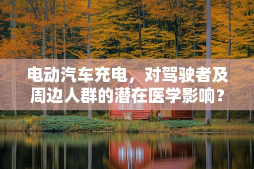电动汽车充电，对驾驶者及周边人群的潜在医学影响？