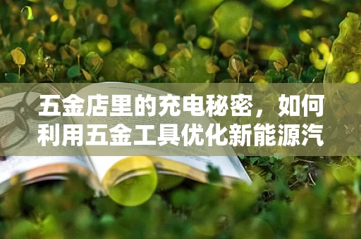 五金店里的充电秘密，如何利用五金工具优化新能源汽车充电站建设？