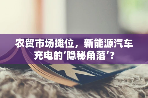 农贸市场摊位，新能源汽车充电的‘隐秘角落’？