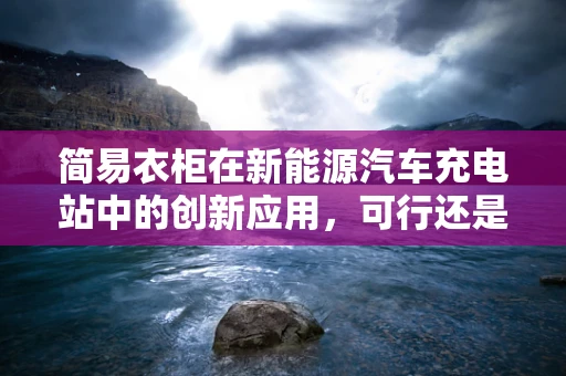 简易衣柜在新能源汽车充电站中的创新应用，可行还是挑战？
