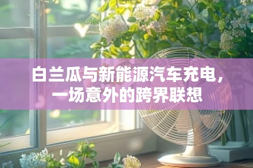 白兰瓜与新能源汽车充电，一场意外的跨界联想