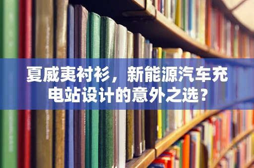 夏威夷衬衫，新能源汽车充电站设计的意外之选？