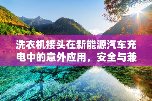 洗衣机接头在新能源汽车充电中的意外应用，安全与兼容性的挑战？