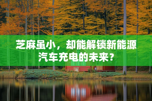芝麻虽小，却能解锁新能源汽车充电的未来？