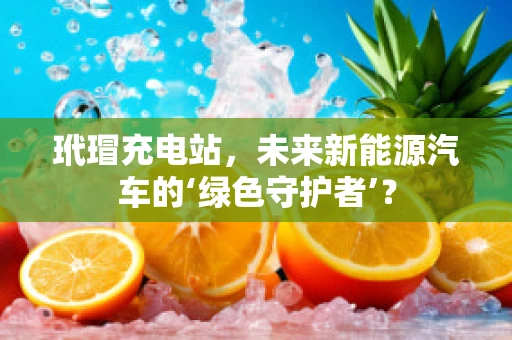 玳瑁充电站，未来新能源汽车的‘绿色守护者’？