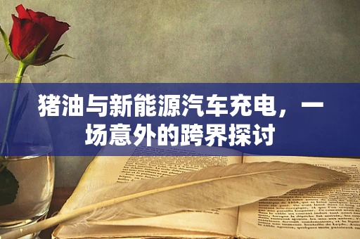 猪油与新能源汽车充电，一场意外的跨界探讨