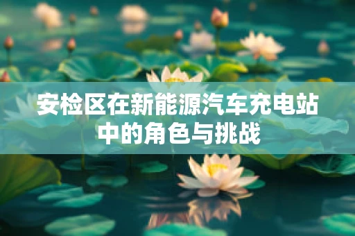 安检区在新能源汽车充电站中的角色与挑战